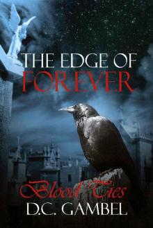 Blood Ties (The Edge of Forever Book 2)