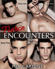 Fierce Encounters Series (Contemporary Romance) Complete Collection