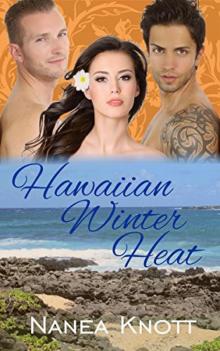 Hawaiian Winter Heat: An Erotic Romance