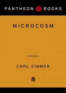 Microcosm