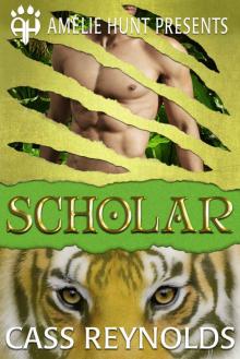 Scholar (Emerald Isle Tigers Book 3)