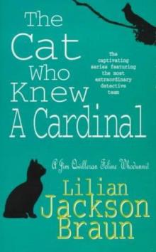 The Cat Who Knew a Cardinal