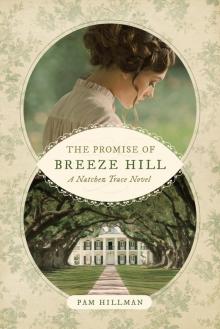 The Promise of Breeze Hill