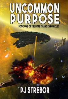 Uncommon Purpose (The Hope Island Chronicles Book 1)