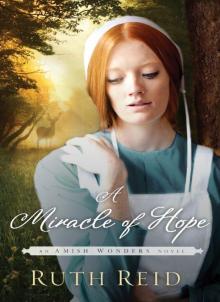 A Miracle of Hope (The Amish Wonders Series)