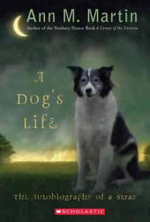 Dog's Life : The Autobiography of a Stray (9780545593571)