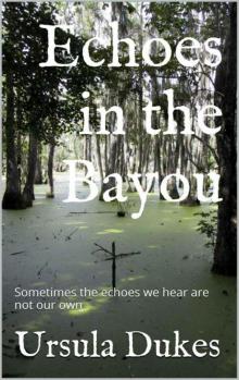 Echoes in the Bayou