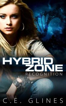 Hybrid Zone Recognition