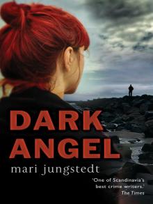 Inspector Anders Knutas 6 - Dark Angel