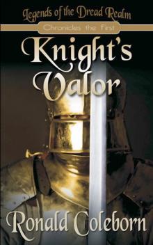 Knight's Valor