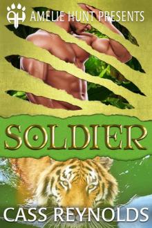 Soldier (Emerald Isle Tigers Book 2)