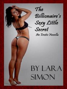 The Billionaire's Sexy Little Secret: An Erotic Novella