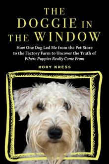 The Doggie in the Window