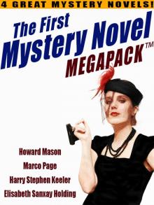 The First Mystery Novel