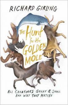 The Hunt for the Golden Mole