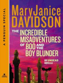 The Incredible Misadventures of Boo and the Boy Blunder