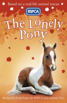 The Lonely Pony