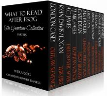 What to Read After FSOG: The Gemstone Collection (WTRAFSOG Book 6)