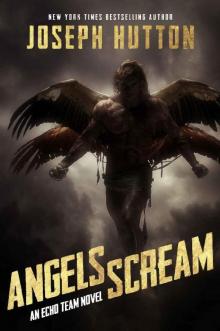 Angels Scream (Echo Team Book 2)