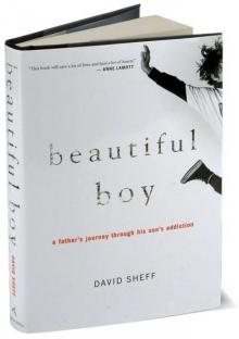 Beautiful Boy: A Father's Journey Through His Son's Addiction