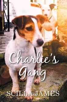 Charlie's Gang