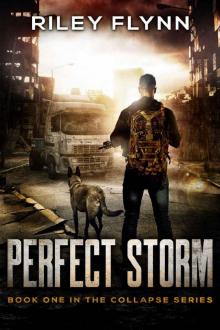 Collapse (Book 1): Perfect Storm