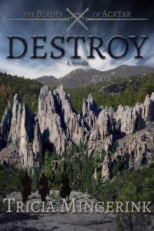 Destroy: (The Blades of Acktar 3.5)