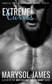 Extreme Curves (Dangerous Curves Book 7)