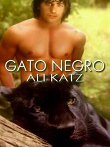 Gato Negro