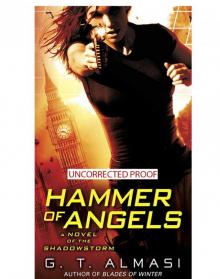 Hammer of Angels: A Novel of Shadowstorm