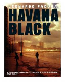 Havana Black