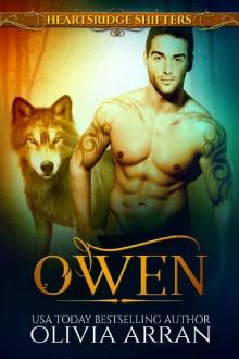 Heartsridge Shifters: Owen (The Protectors Book 1)