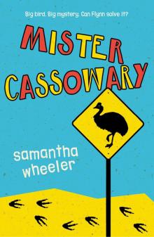 Mister Cassowary