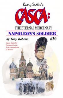 Napoleon's Soldier