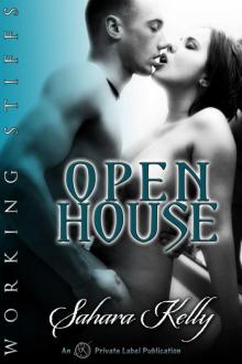 Open House - Working Stiffs Book Two