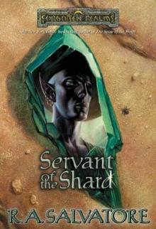 Servant of the Shard ts-1