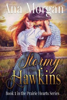 Stormy Hawkins (Prairie Hearts Series Book 1)