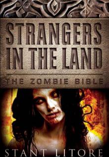 Strangers in the Land (The Zombie Bible)