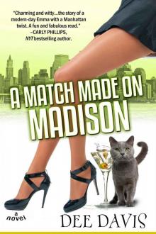 A Match Made on Madison (The Matchmaker Chronicles)