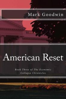 American Reset (The Economic Collapse Chronicles)