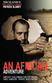 An African Adventure (Vince Hamilton Private Investigator Book 4)