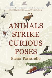 Animals Strike Curious Poses