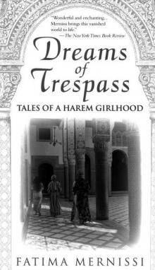 Dreams of Trespass: Tales of a Harem Girlhood