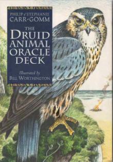 Druid Animal Oracle Deck