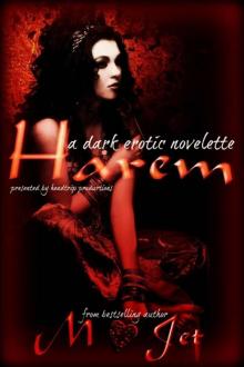 Harem, a Dark Erotic Novelette