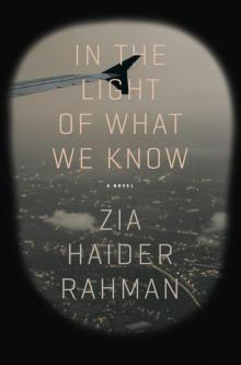 In the Light of What We Know: A Novel