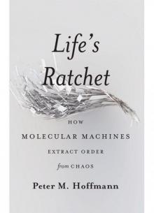 Life's Ratchet: How Molecular Machines Extract Order from Chaos