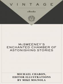 McSweeney's Enchanted Chamber of Astonishing Stories