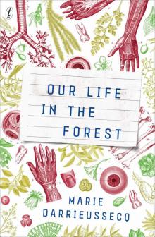 Our Life in the Forest