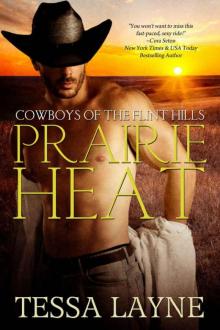 Prairie Heat (Cowboys of The Flint Hills #1)